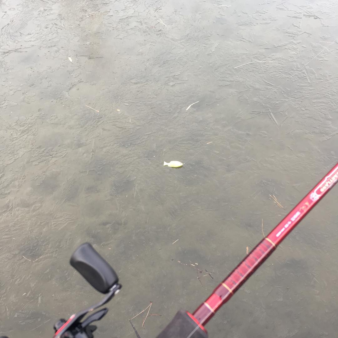 2018/1/30 長良川